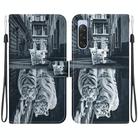 For Sony Xperia 10 V 2023 Crystal Texture Colored Drawing Leather Phone Case(Cat Tiger Reflection) - 1