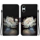 For Sony Xperia 10 VI Crystal Texture Colored Drawing Leather Phone Case(Crystal Peony) - 1