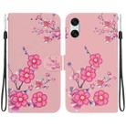 For Sony Xperia 10 VI Crystal Texture Colored Drawing Leather Phone Case(Cherry Blossoms) - 1