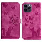For iPhone 15 Pro Max Butterfly Cat Embossing Flip Leather Phone Case(Pink) - 1