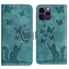 For iPhone 15 Pro Max Butterfly Cat Embossing Flip Leather Phone Case(Wathet) - 1