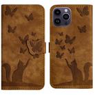 For iPhone 15 Pro Max Butterfly Cat Embossing Flip Leather Phone Case(Brown) - 1