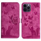 For iPhone 15 Pro Butterfly Cat Embossing Flip Leather Phone Case(Pink) - 1