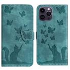 For iPhone 15 Pro Butterfly Cat Embossing Flip Leather Phone Case(Wathet) - 1