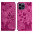 For iPhone 14 Pro Butterfly Cat Embossing Flip Leather Phone Case(Pink) - 1