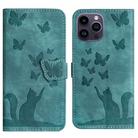 For iPhone 14 Pro Butterfly Cat Embossing Flip Leather Phone Case(Wathet) - 1