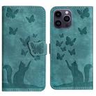 For iPhone 14 Pro Max Butterfly Cat Embossing Flip Leather Phone Case(Wathet) - 1