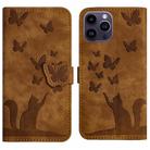 For iPhone 14 Pro Max Butterfly Cat Embossing Flip Leather Phone Case(Brown) - 1