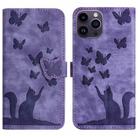 For iPhone 13 Pro Max Butterfly Cat Embossing Flip Leather Phone Case(Purple) - 1