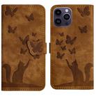 For iPhone 13 Pro Max Butterfly Cat Embossing Flip Leather Phone Case(Brown) - 1