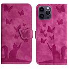 For iPhone 13 Pro Butterfly Cat Embossing Flip Leather Phone Case(Pink) - 1