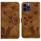 For iPhone 12 Pro Max Butterfly Cat Embossing Flip Leather Phone Case(Brown) - 1