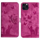 For iPhone 11 Pro Max Butterfly Cat Embossing Flip Leather Phone Case(Pink) - 1