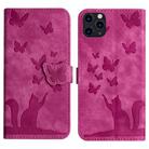 For iPhone 11 Pro Butterfly Cat Embossing Flip Leather Phone Case(Pink) - 1