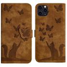 For iPhone 11 Pro Butterfly Cat Embossing Flip Leather Phone Case(Brown) - 1