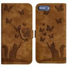 For iPhone 8 Plus / 7 Plus Butterfly Cat Embossing Flip Leather Phone Case(Brown) - 1