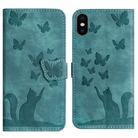 For iPhone X / XS Butterfly Cat Embossing Flip Leather Phone Case(Wathet) - 1