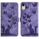 For iPhone XR Butterfly Cat Embossing Flip Leather Phone Case(Purple) - 1