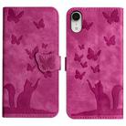 For iPhone XR Butterfly Cat Embossing Flip Leather Phone Case(Pink) - 1