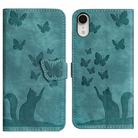 For iPhone XR Butterfly Cat Embossing Flip Leather Phone Case(Wathet) - 1