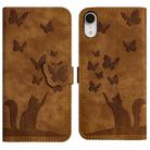 For iPhone XR Butterfly Cat Embossing Flip Leather Phone Case(Brown) - 1