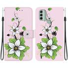 For Nokia C31 Crystal Texture Colored Drawing Leather Phone Case(Lily) - 1