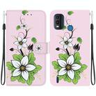 For Nokia G11 Plus Crystal Texture Colored Drawing Leather Phone Case(Lily) - 1