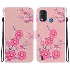 For Nokia G11 Plus Crystal Texture Colored Drawing Leather Phone Case(Cherry Blossoms) - 1