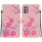 For Nokia G42 Crystal Texture Colored Drawing Leather Phone Case(Cherry Blossoms) - 1