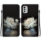 For Nokia G60 Crystal Texture Colored Drawing Leather Phone Case(Crystal Peony) - 1