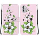 For Nokia G60 Crystal Texture Colored Drawing Leather Phone Case(Lily) - 1