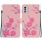 For Nokia G60 Crystal Texture Colored Drawing Leather Phone Case(Cherry Blossoms) - 1