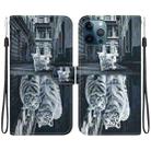 For iPhone 12 Pro Max Crystal Texture Colored Drawing Leather Phone Case(Cat Tiger Reflection) - 1