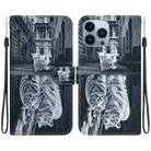 For iPhone 14 Pro Max Crystal Texture Colored Drawing Leather Phone Case(Cat Tiger Reflection) - 1