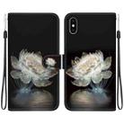 For iPhone XS Max Crystal Texture Colored Drawing Leather Phone Case(Crystal Peony) - 1