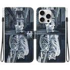 For iPhone 16 Pro Crystal Texture Colored Drawing Leather Phone Case(Cat Tiger Reflection) - 1