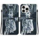 For iPhone 16 Pro Max Crystal Texture Colored Drawing Leather Phone Case(Cat Tiger Reflection) - 1