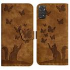 For Xiaomi Redmi Note 11/Note 12S 4G Global Butterfly Cat Embossing Flip Leather Phone Case(Brown) - 1