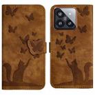 For Xiaomi 14 Butterfly Cat Embossing Flip Leather Phone Case(Brown) - 1