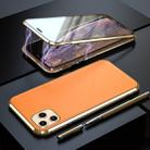 For iPhone 11 Pro Shockproof Magnetic Attraction Leather Backboard + Tempered Glass Protective Case(Gold) - 1