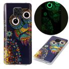 For Xiaomi Redmi Note 9 Pro Luminous TPU Mobile Phone Protective Case(Blue Owl) - 1