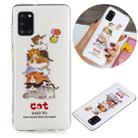 For Samsung Galaxy A31 Luminous TPU Soft Protective Case(Cats) - 1