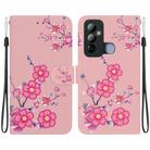 For Tecno Pop 6 Go Crystal Texture Colored Drawing Leather Phone Case(Cherry Blossoms) - 1