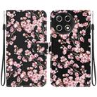 For Tecno Camon 30S / Camon 30S Pro Crystal Texture Colored Drawing Leather Phone Case(Plum Bossom) - 1