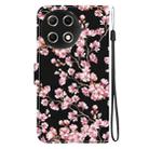 For Tecno Camon 30S / Camon 30S Pro Crystal Texture Colored Drawing Leather Phone Case(Plum Bossom) - 3