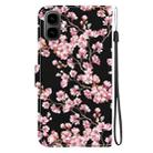 For Tecno Pop 10 / Spark Go 2 4G Crystal Texture Colored Drawing Leather Phone Case(Plum Bossom) - 3