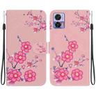 For Motorola Edge 30 Neo / 30 Lite Crystal Texture Colored Drawing Leather Phone Case(Cherry Blossoms) - 1