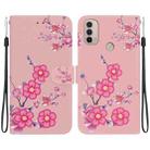 For Motorola Moto E20 / E30 / E40 Crystal Texture Colored Drawing Leather Phone Case(Cherry Blossoms) - 1