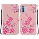 For Motorola Moto G31 / G41 Crystal Texture Colored Drawing Leather Phone Case(Cherry Blossoms) - 1