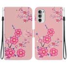 For Motorola Moto G52 Crystal Texture Colored Drawing Leather Phone Case(Cherry Blossoms) - 1